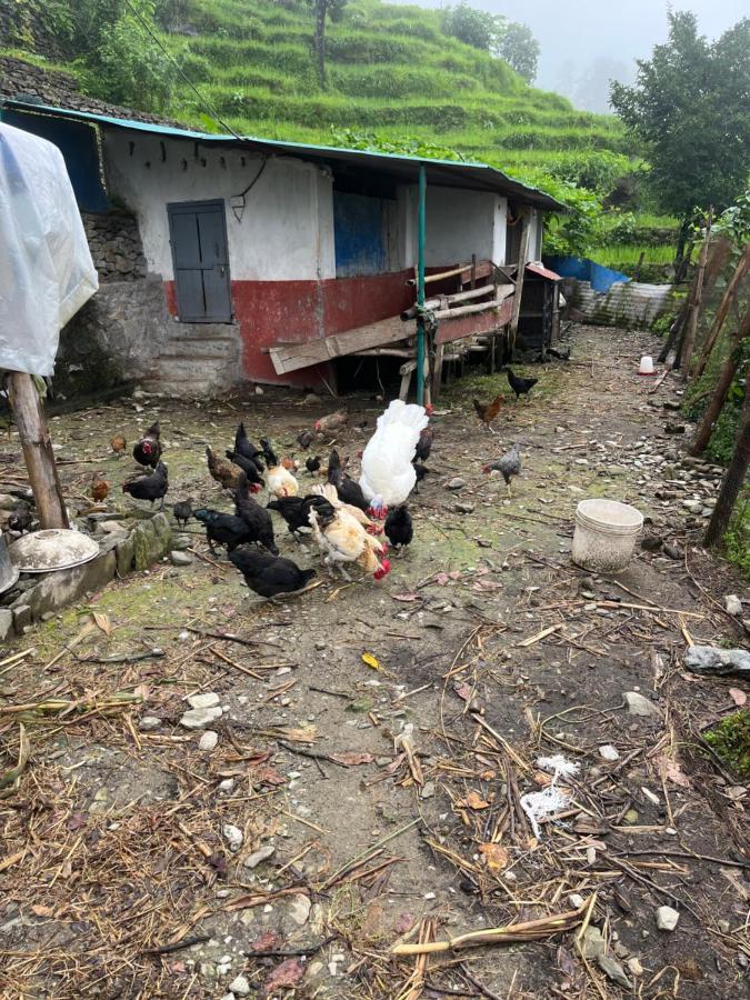 The North Face Inn's Pokhara